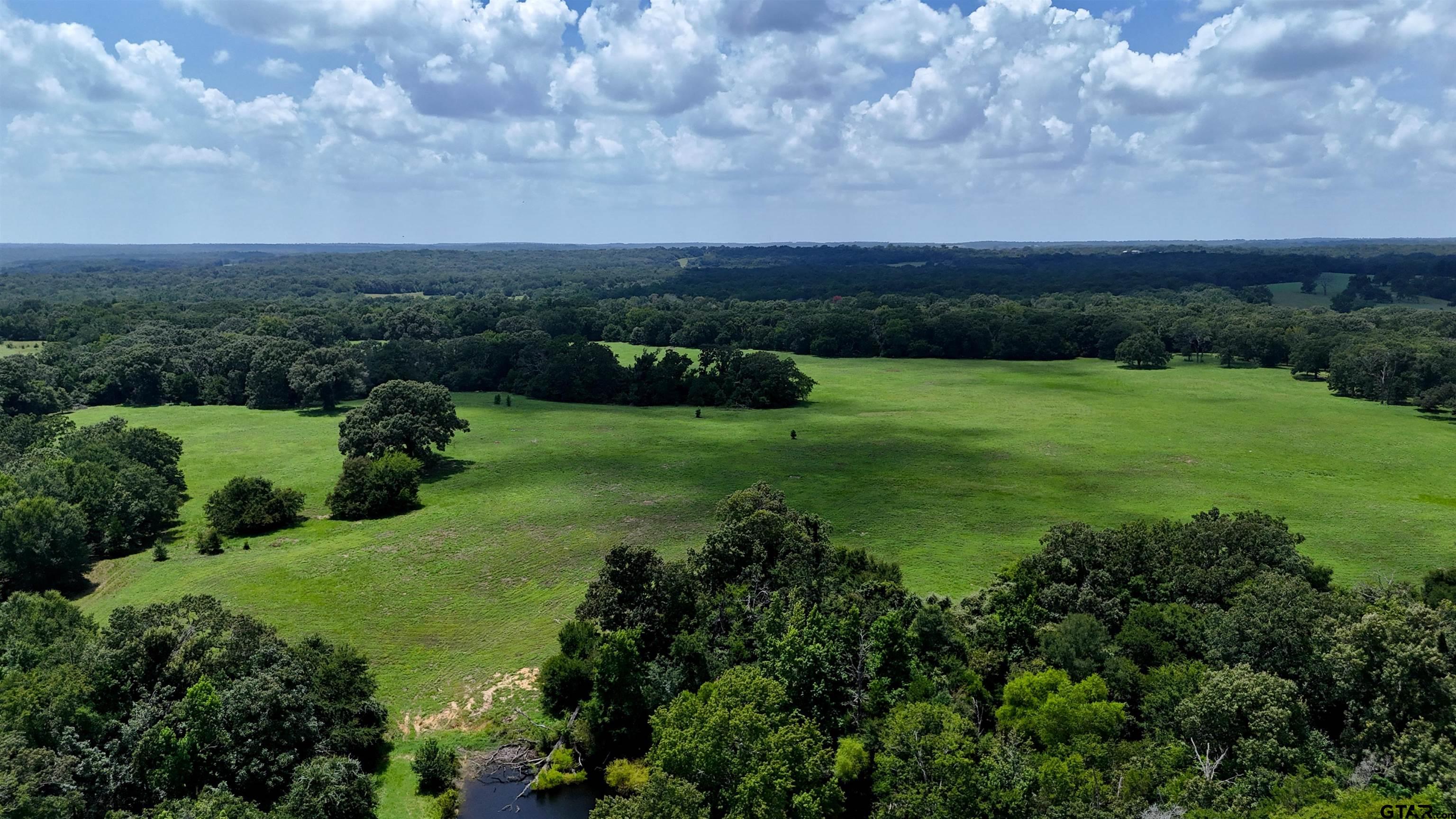 4613 Athens Tx 75751 Athens, TX 75751 - Photo 10 of 14 an aerial view of green landscape with trees