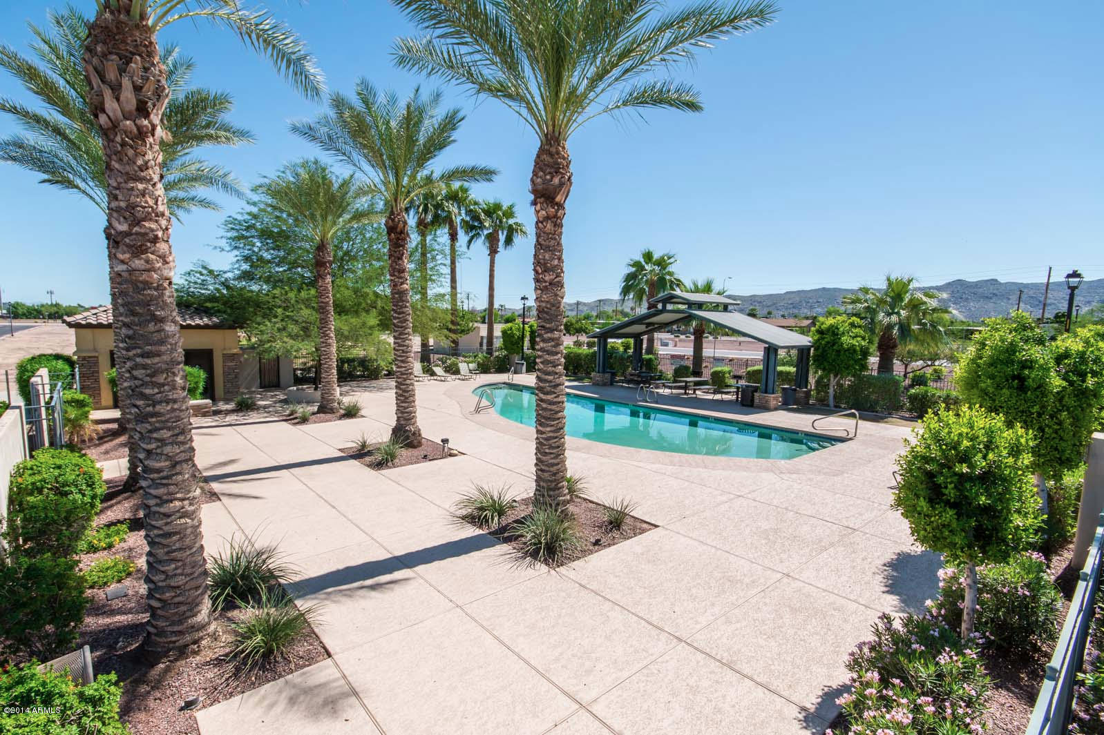 2341 East Fraktur Road Phoenix, AZ 85040 - Photo 33 of 36 Community pool