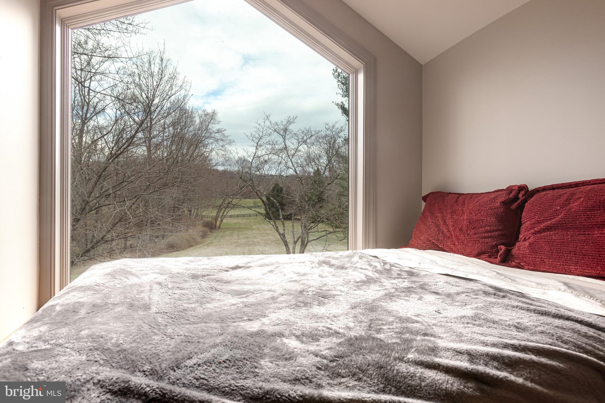 3924 Cobbler Mountain Road Delaplane, VA 20144 - Photo 24 of 77