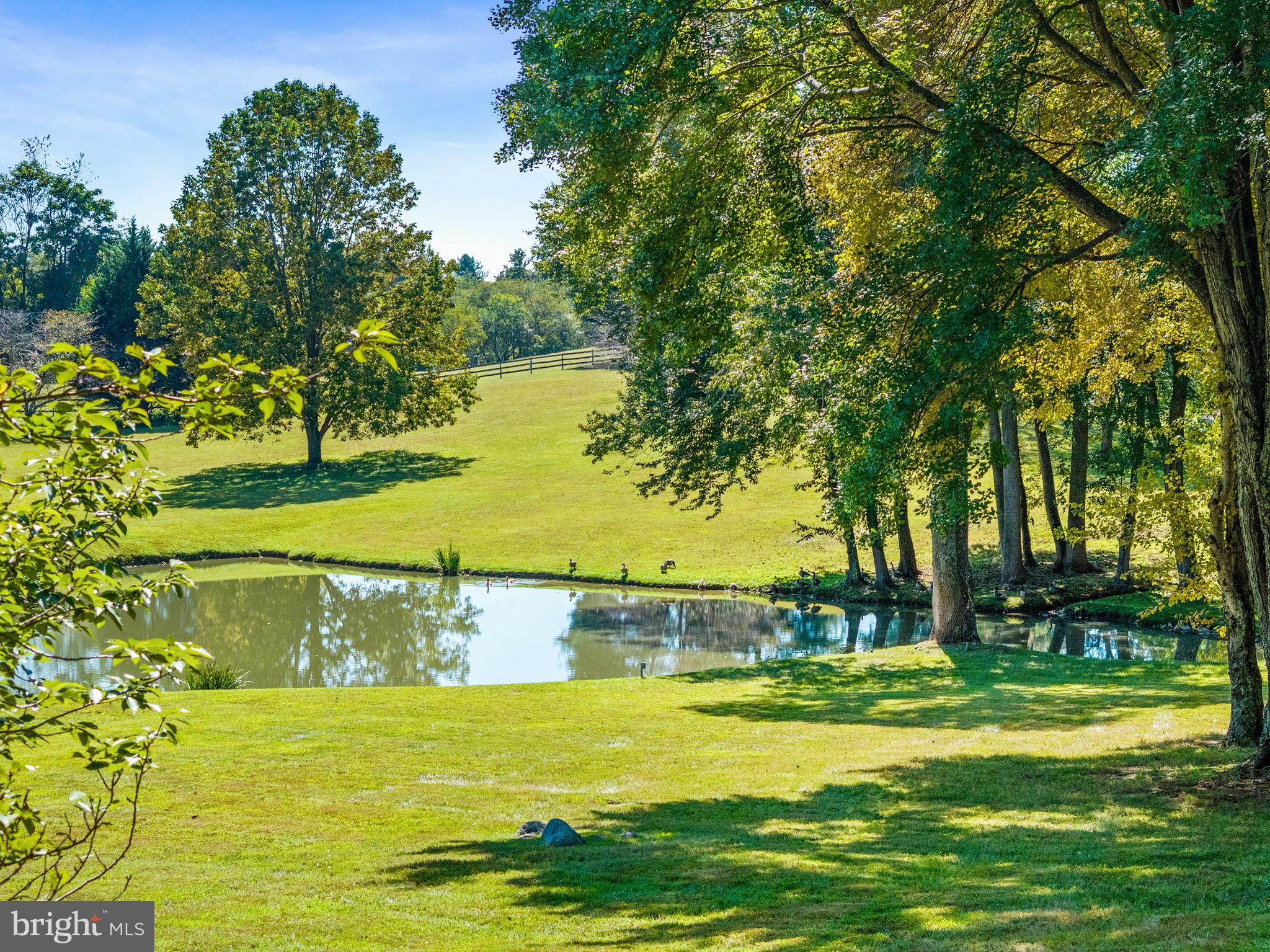 3924 Cobbler Mountain Road Delaplane, VA 20144 - Photo 58 of 77
