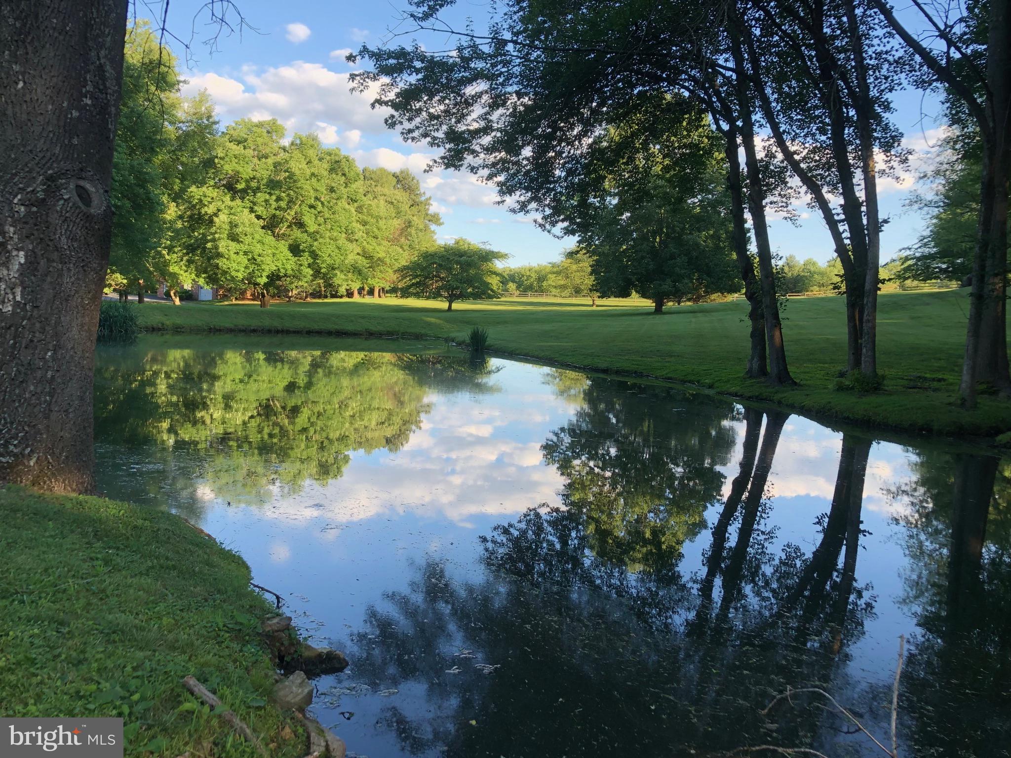 3924 Cobbler Mountain Road Delaplane, VA 20144 - Photo 59 of 77