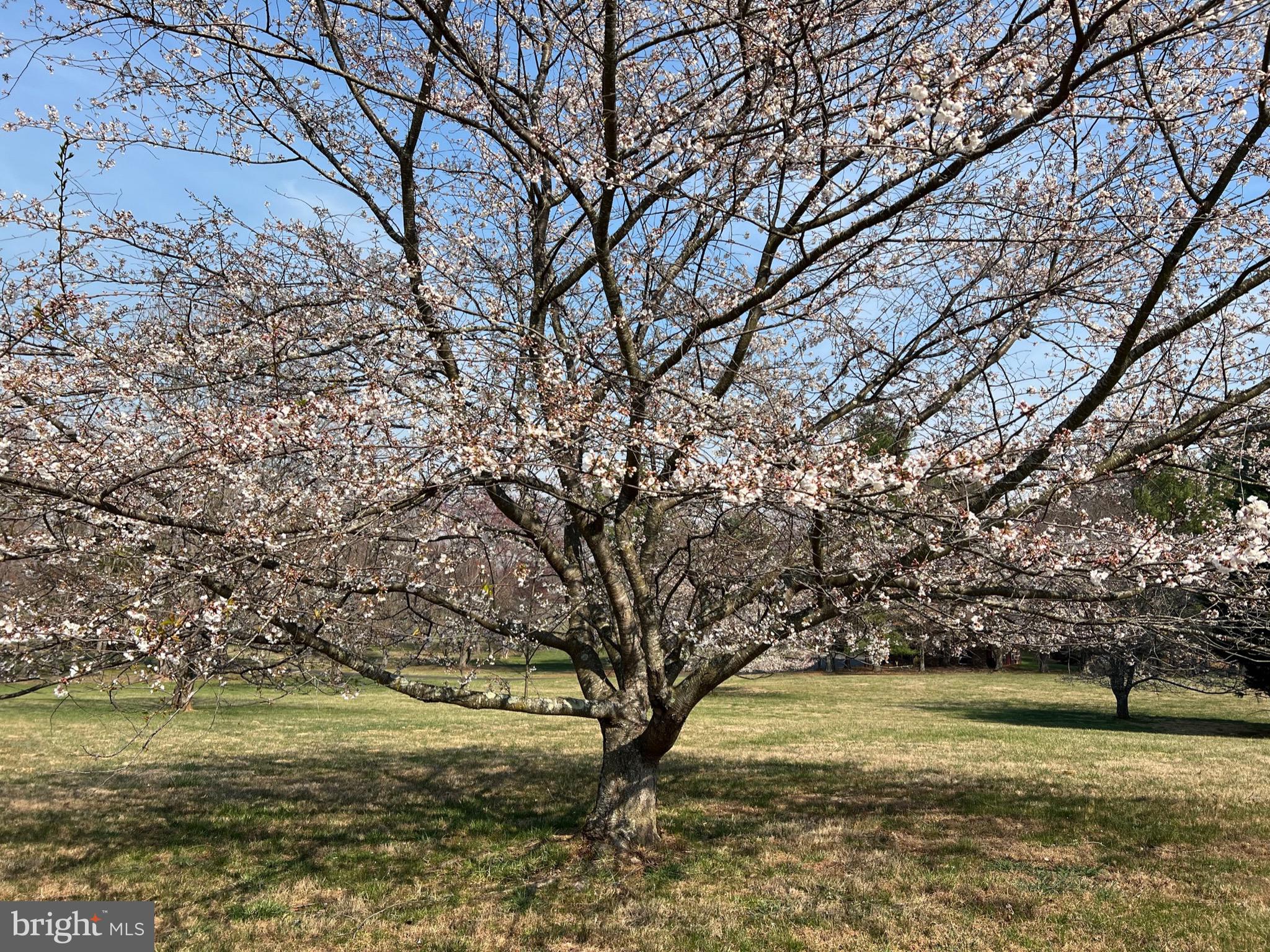 3924 Cobbler Mountain Road Delaplane, VA 20144 - Photo 66 of 77
