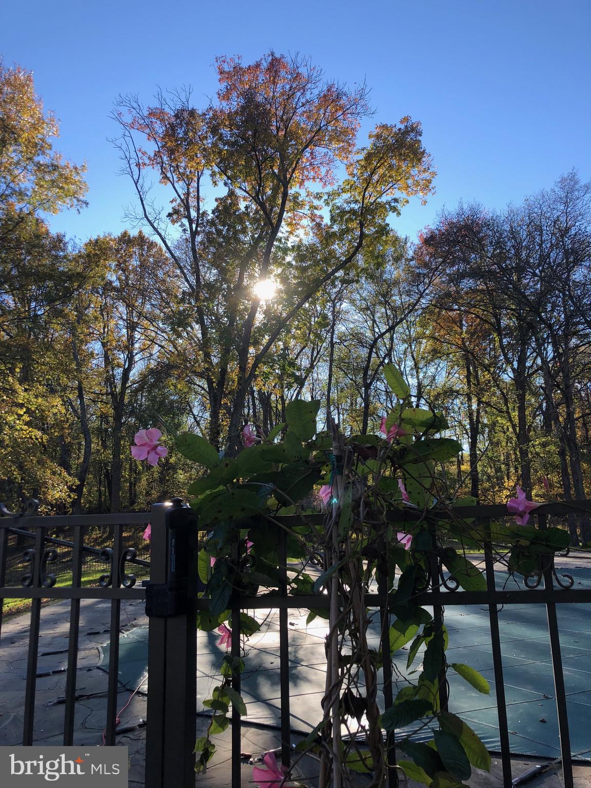 3924 Cobbler Mountain Road Delaplane, VA 20144 - Photo 68 of 77