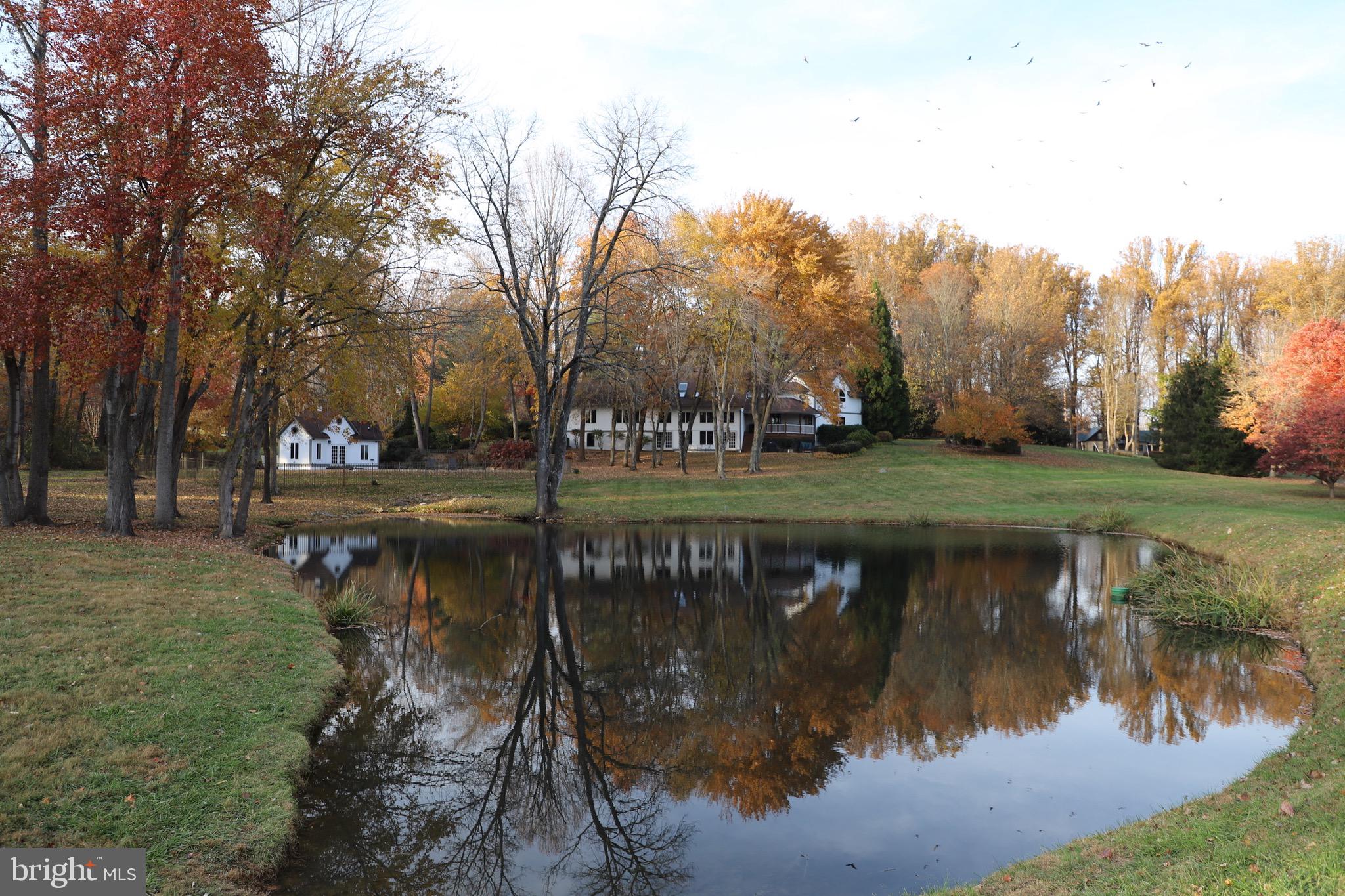 3924 Cobbler Mountain Road Delaplane, VA 20144 - Photo 69 of 77