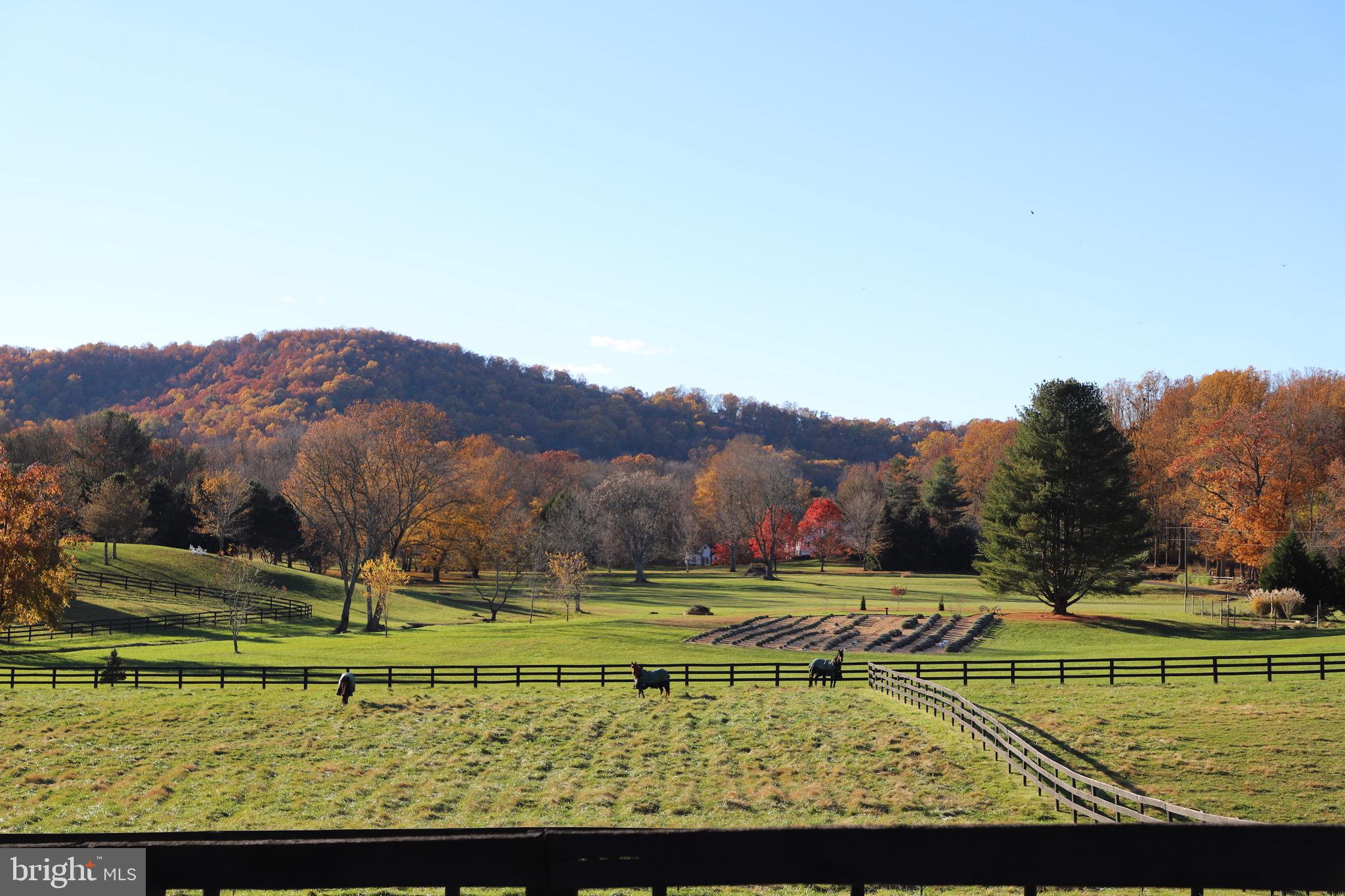 3924 Cobbler Mountain Road Delaplane, VA 20144 - Photo 70 of 77
