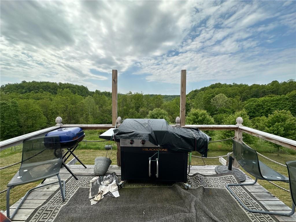 562 Palmer Adah Road Adah, PA 15410 - Photo 7 of 46 a view of a roof deck with couches