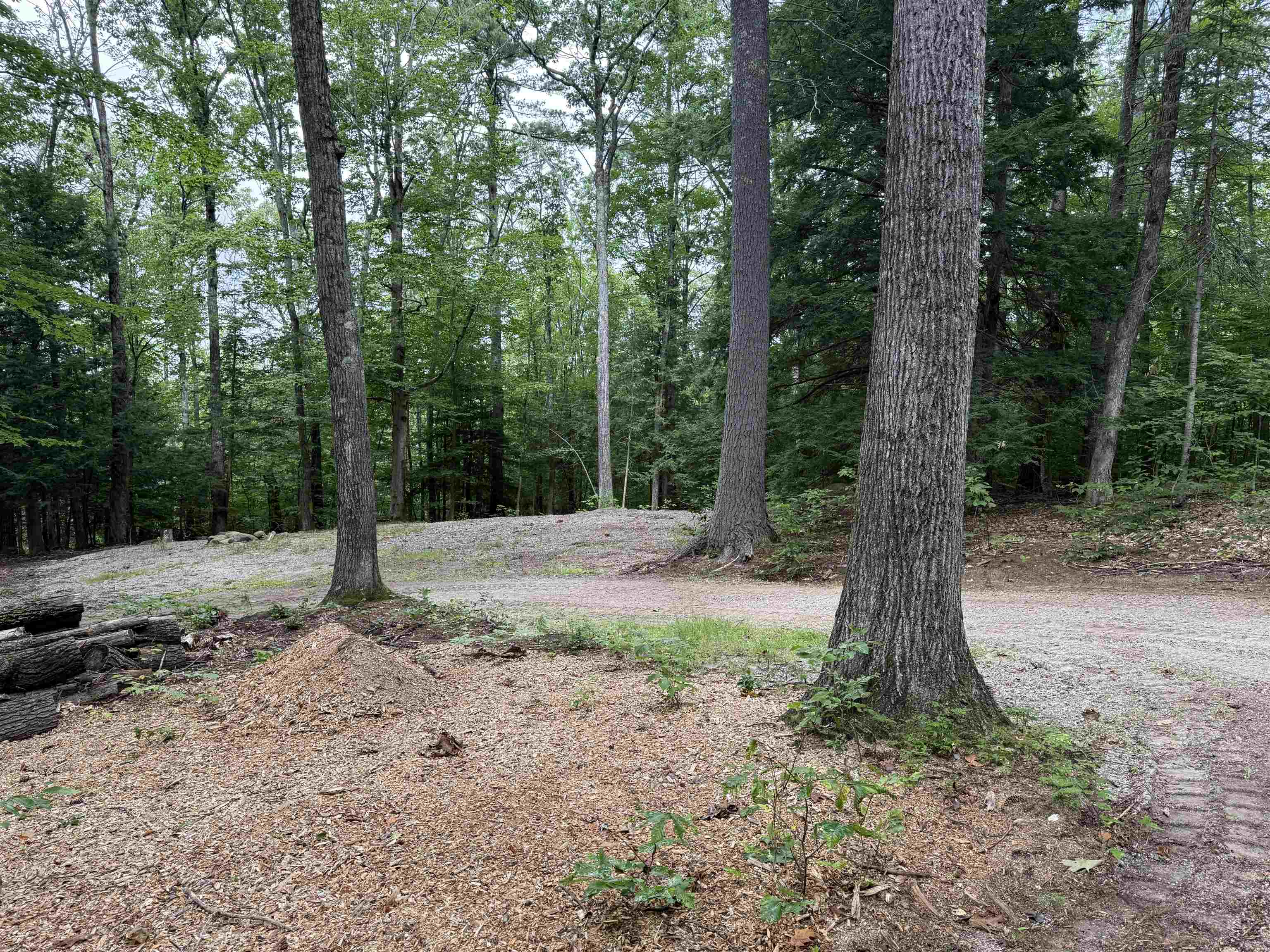 0 Conway Road, Unit 46 Madison, NH 03849 - Photo 6 of 14 Gallery Image 6
