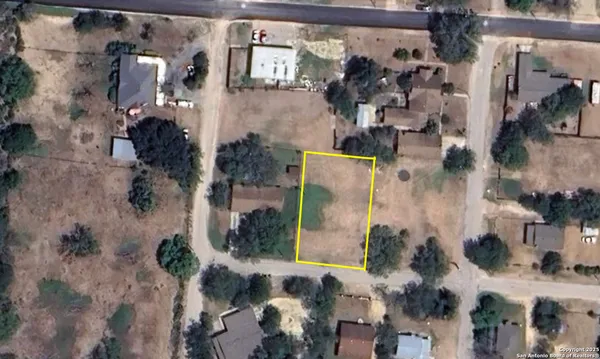 a view of backyard with large trees