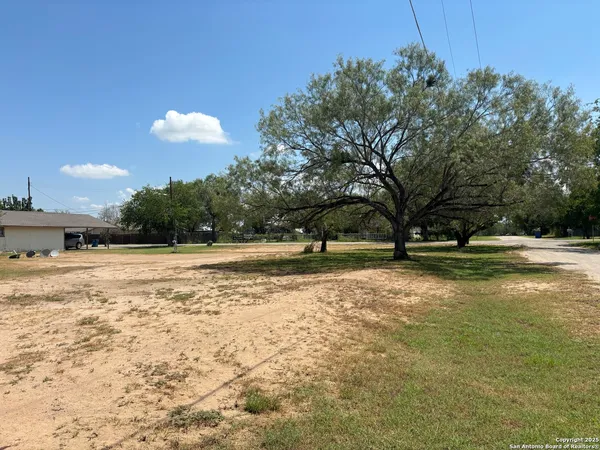 a view of a yard with a large tree