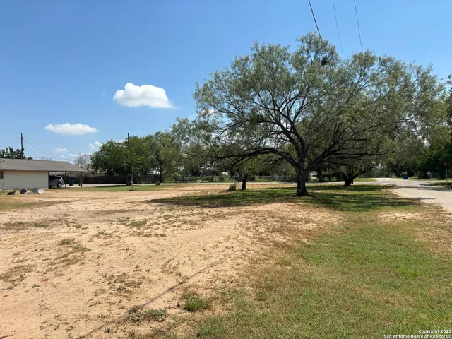 a view of a yard with a large tree