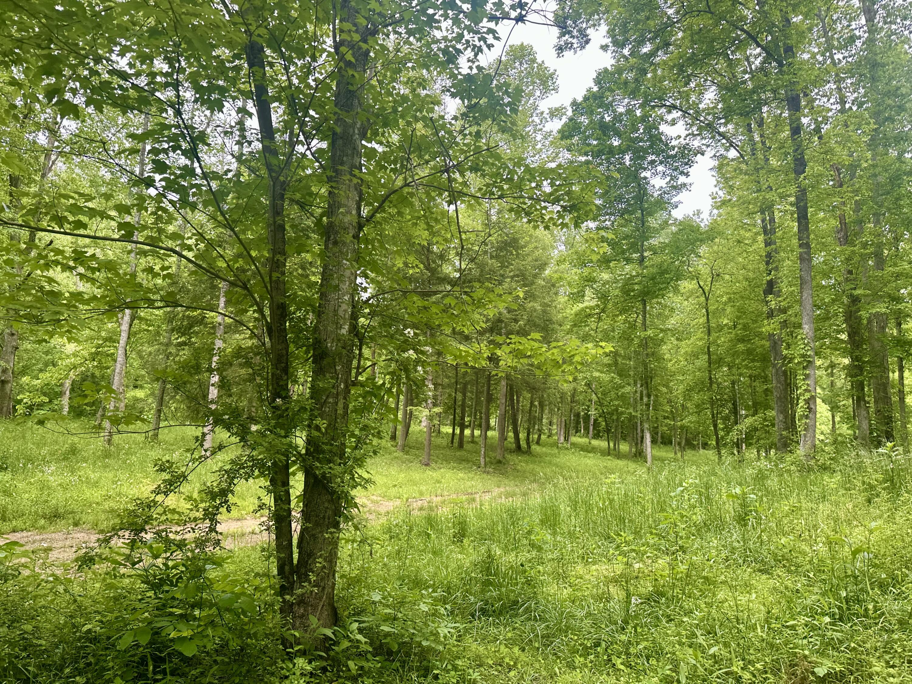 1815 Baldwin Road McKee, KY 40447 - Photo 39 of 68 IMG_0419