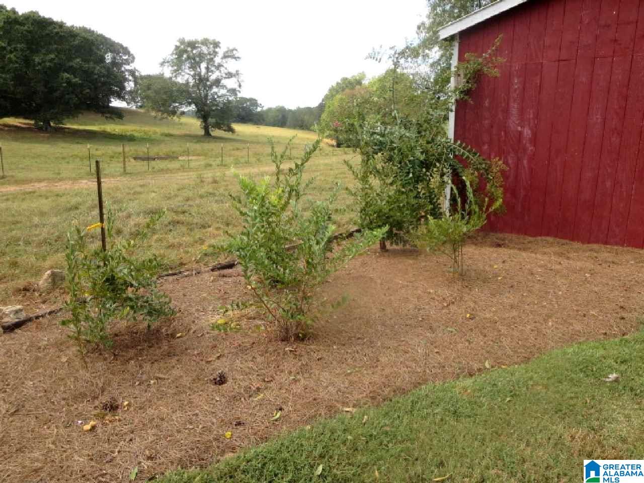 763 Highland Road Lineville, AL 36266 - Photo 30 of 34