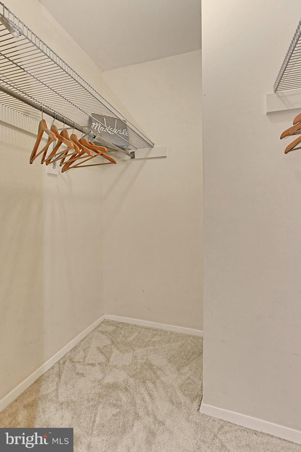 12302 Coleraine Court Reston, VA 20191 - Photo 16 of 35 Walk-In Closet!