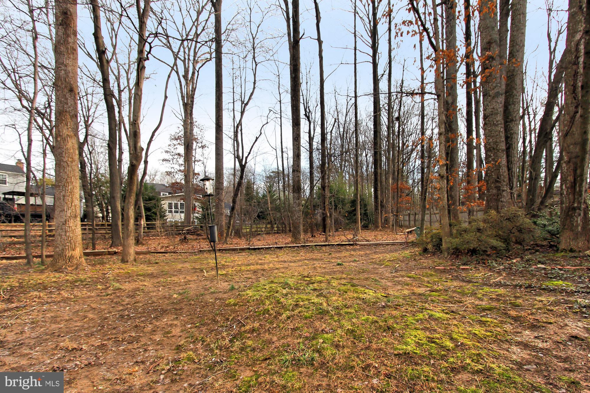 12302 Coleraine Court Reston, VA 20191 - Photo 30 of 35 Over 1/2 Acre Lot backing to trees!