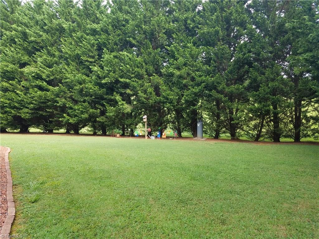 1022 Trinity Place Road Tobaccoville, NC 27050 - Photo 6 of 12
