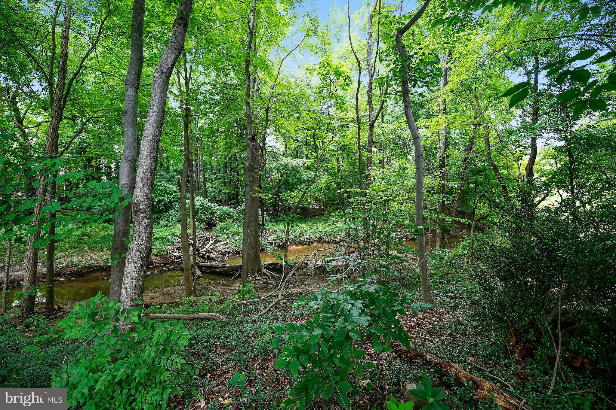 2016 Collingwood Road Alexandria, VA 22308 - Photo 24 of 30 Rear Creek