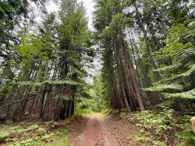 $125,000 | 0 Bergen Road, Newport, WA 99156