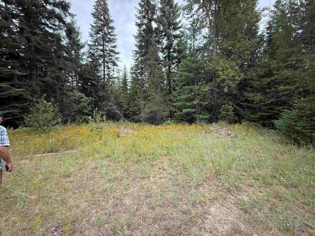 $125,000 | 0 Bergen Road, Newport, WA 99156