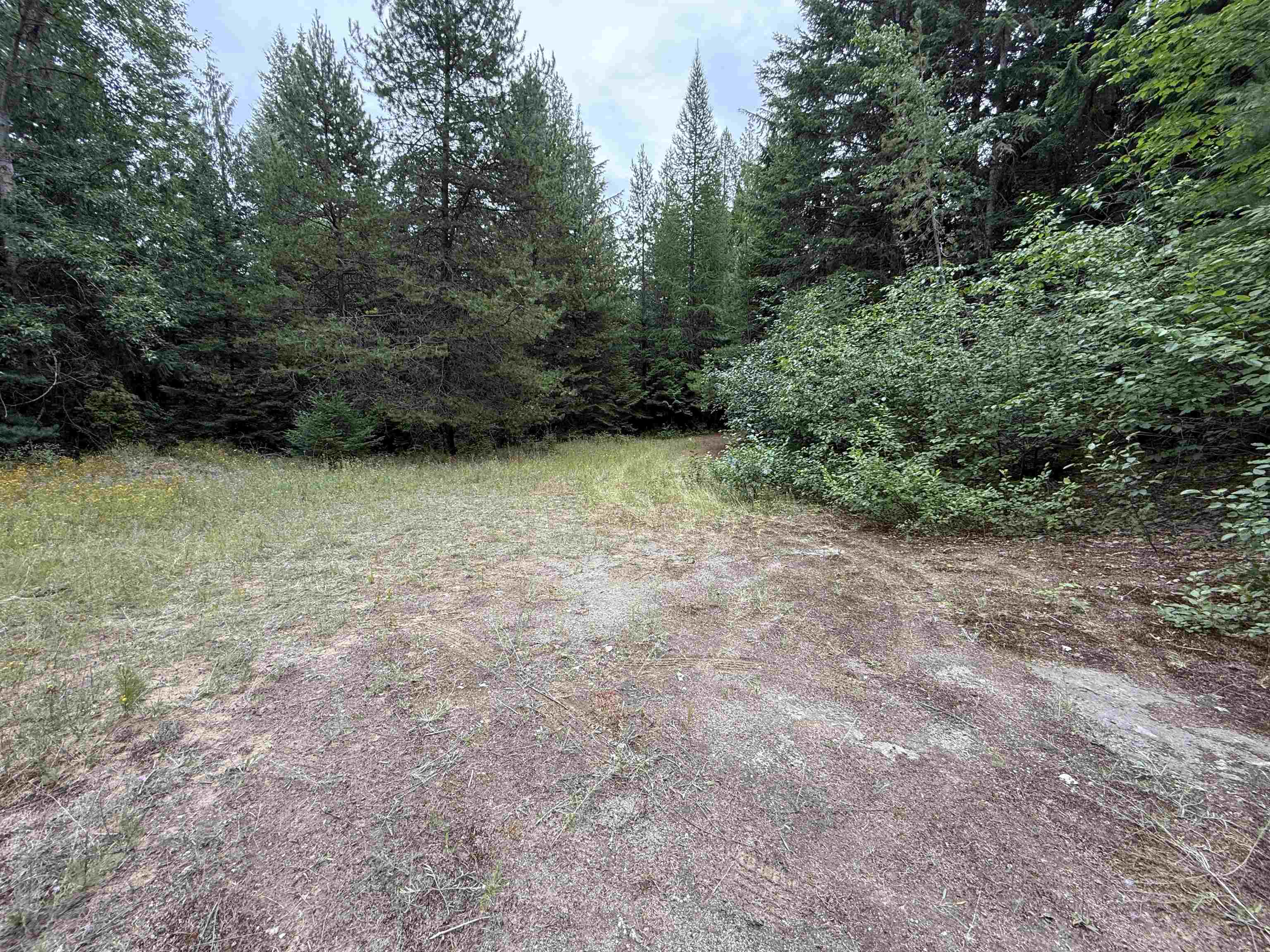 0 Bergen Road Newport, WA 99156 - Photo 14 of 48