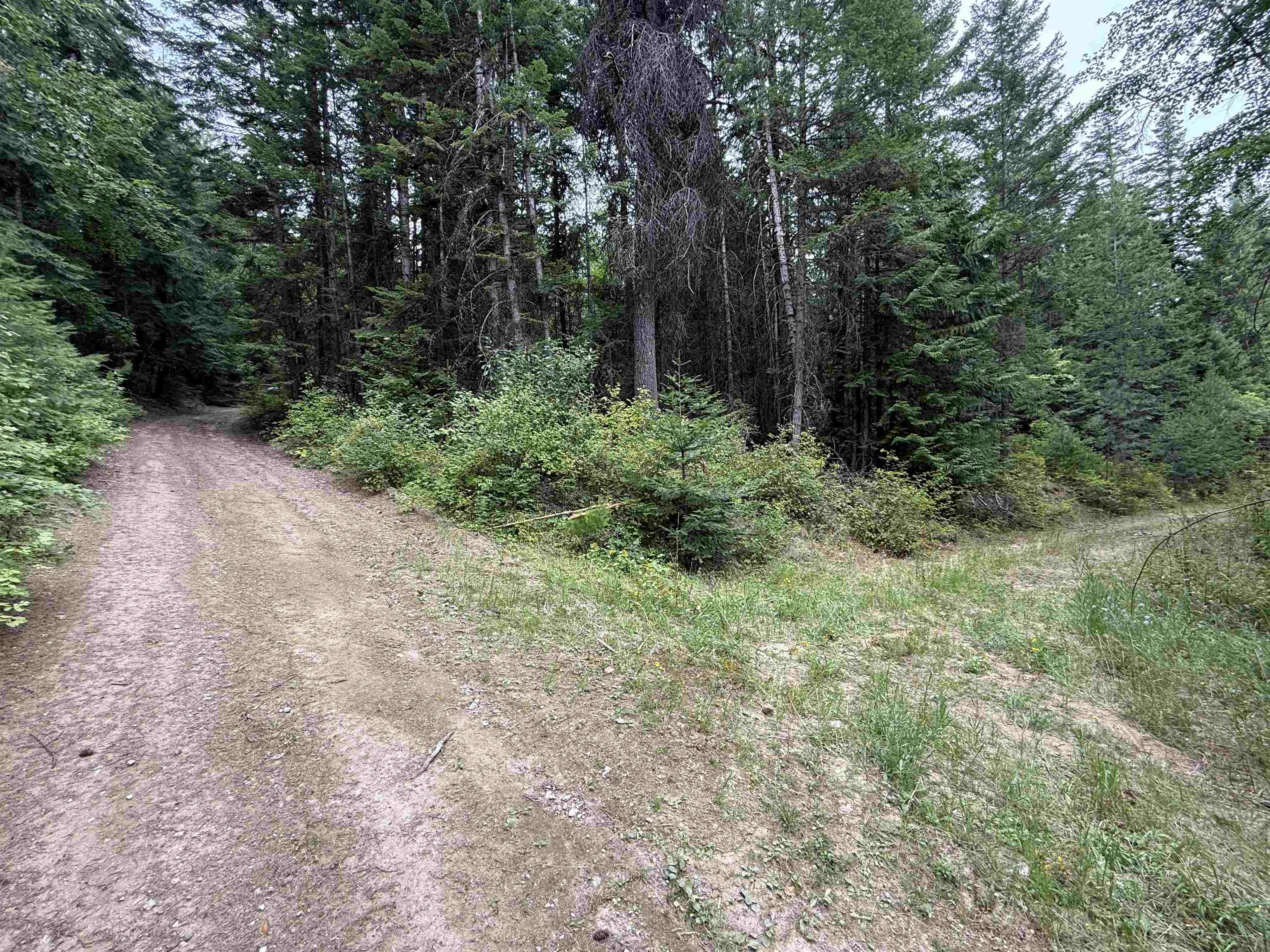 0 Bergen Road Newport, WA 99156 - Photo 17 of 48