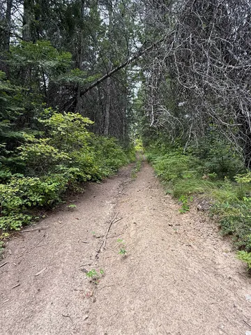 $125,000 | 0 Bergen Road, Newport, WA 99156