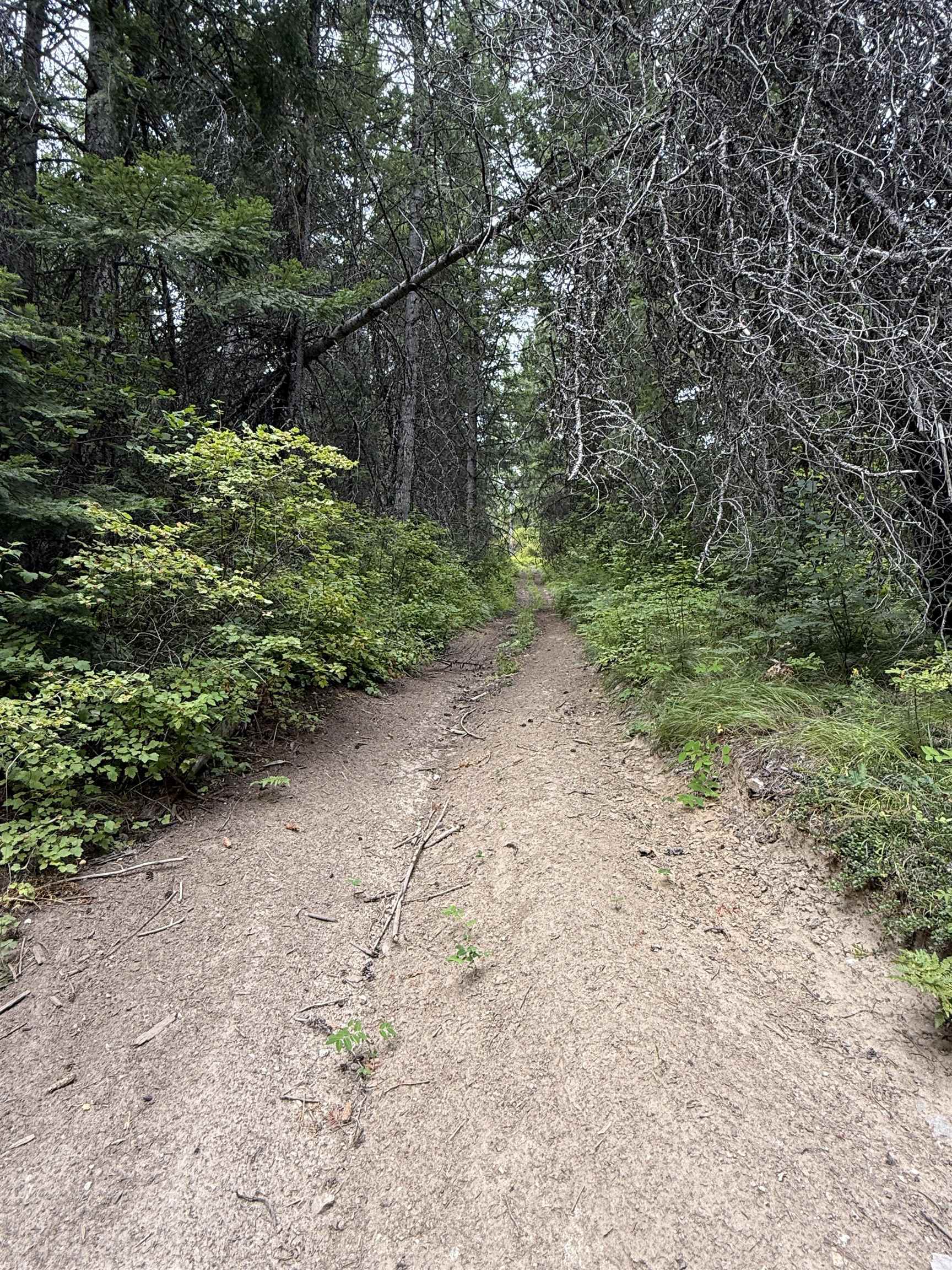 0 Bergen Road Newport, WA 99156 - Photo 19 of 48