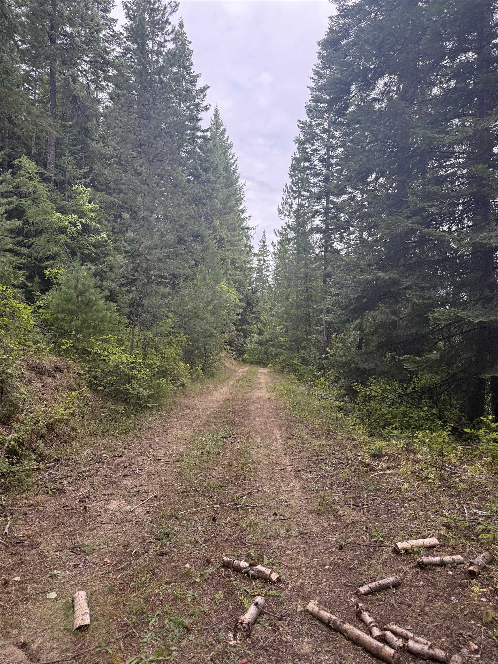 0 Bergen Road Newport, WA 99156 - Photo 20 of 48