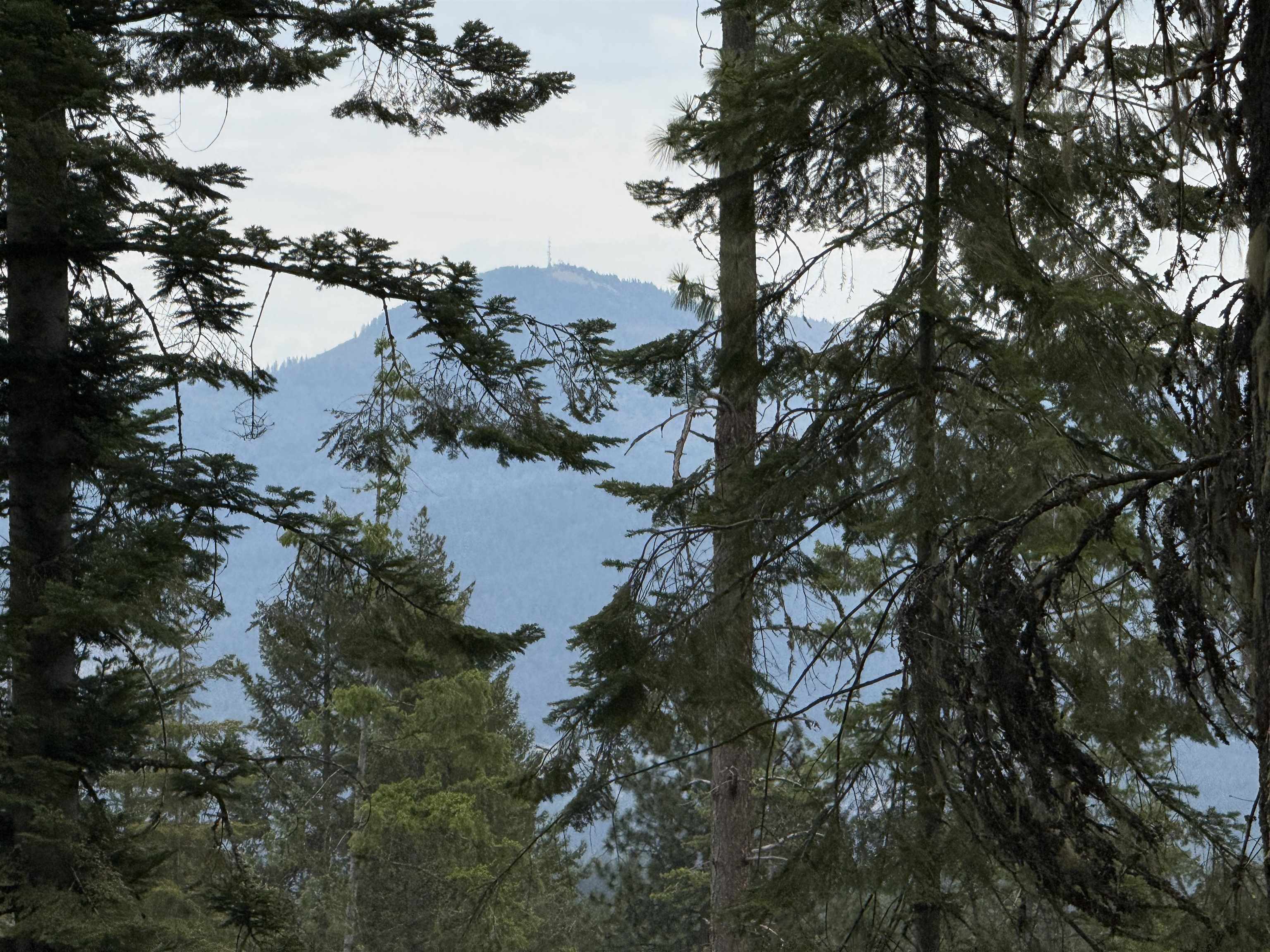 0 Bergen Road Newport, WA 99156 - Photo 2 of 48