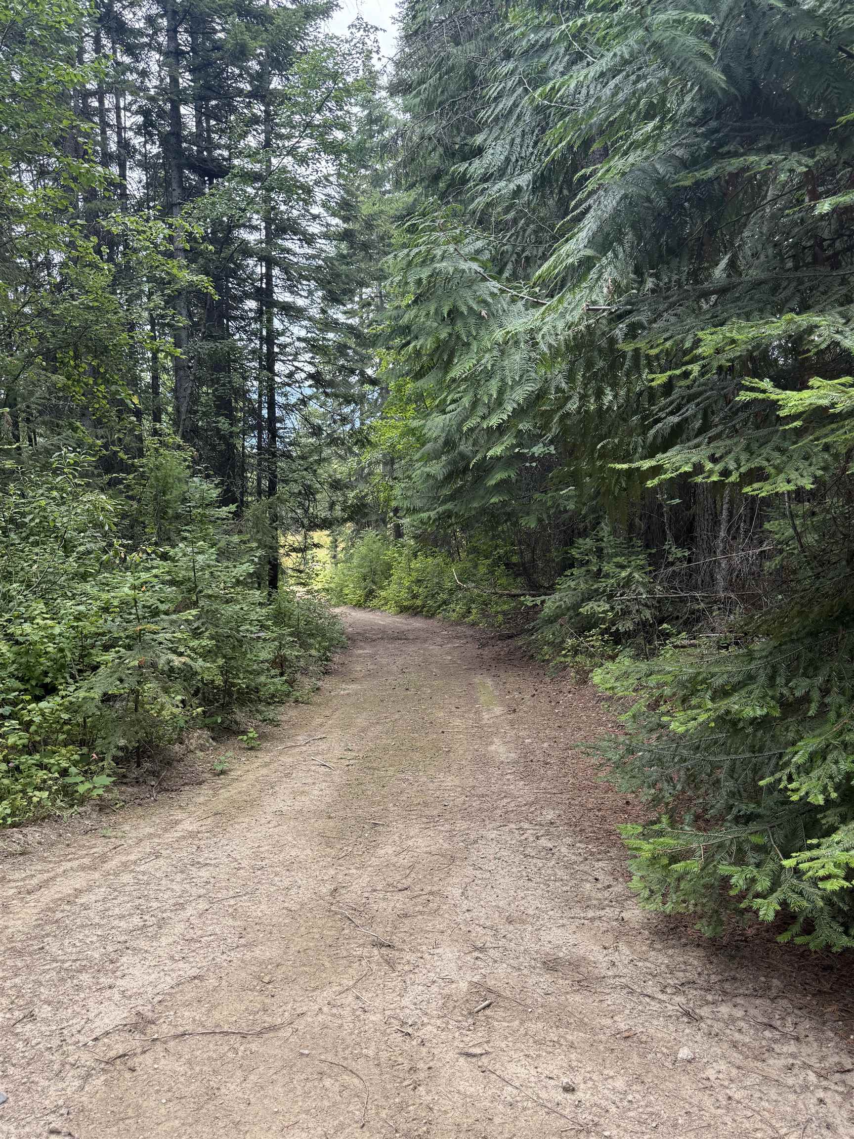 0 Bergen Road Newport, WA 99156 - Photo 21 of 48