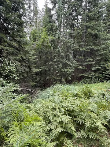 $125,000 | 0 Bergen Road, Newport, WA 99156