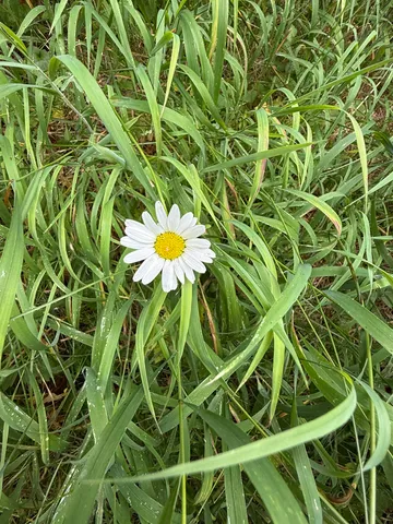 $125,000 | 0 Bergen Road, Newport, WA 99156