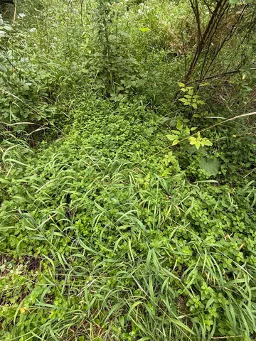 $125,000 | 0 Bergen Road, Newport, WA 99156