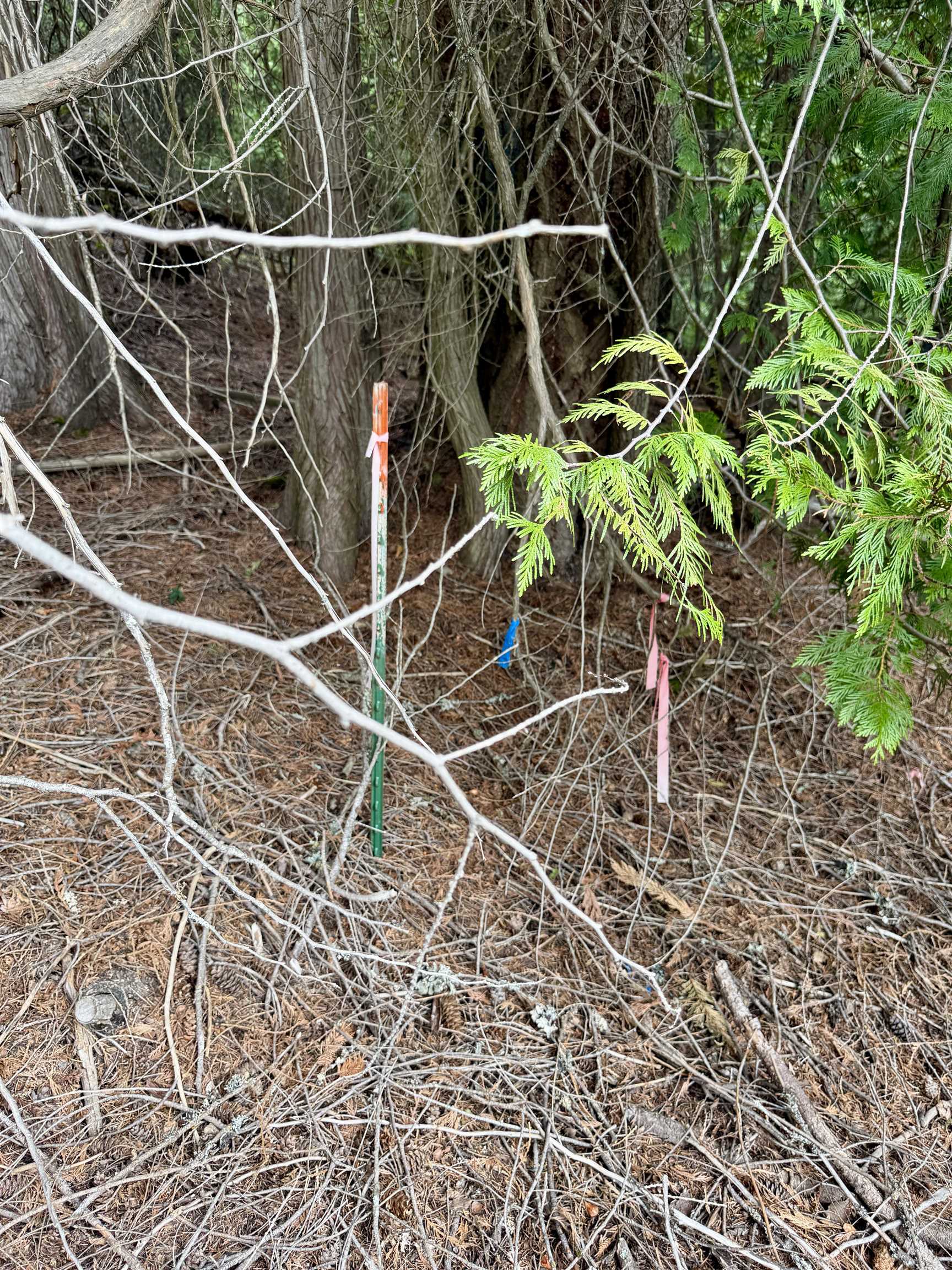 0 Bergen Road Newport, WA 99156 - Photo 27 of 48