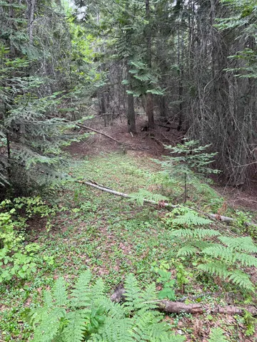 $125,000 | 0 Bergen Road, Newport, WA 99156