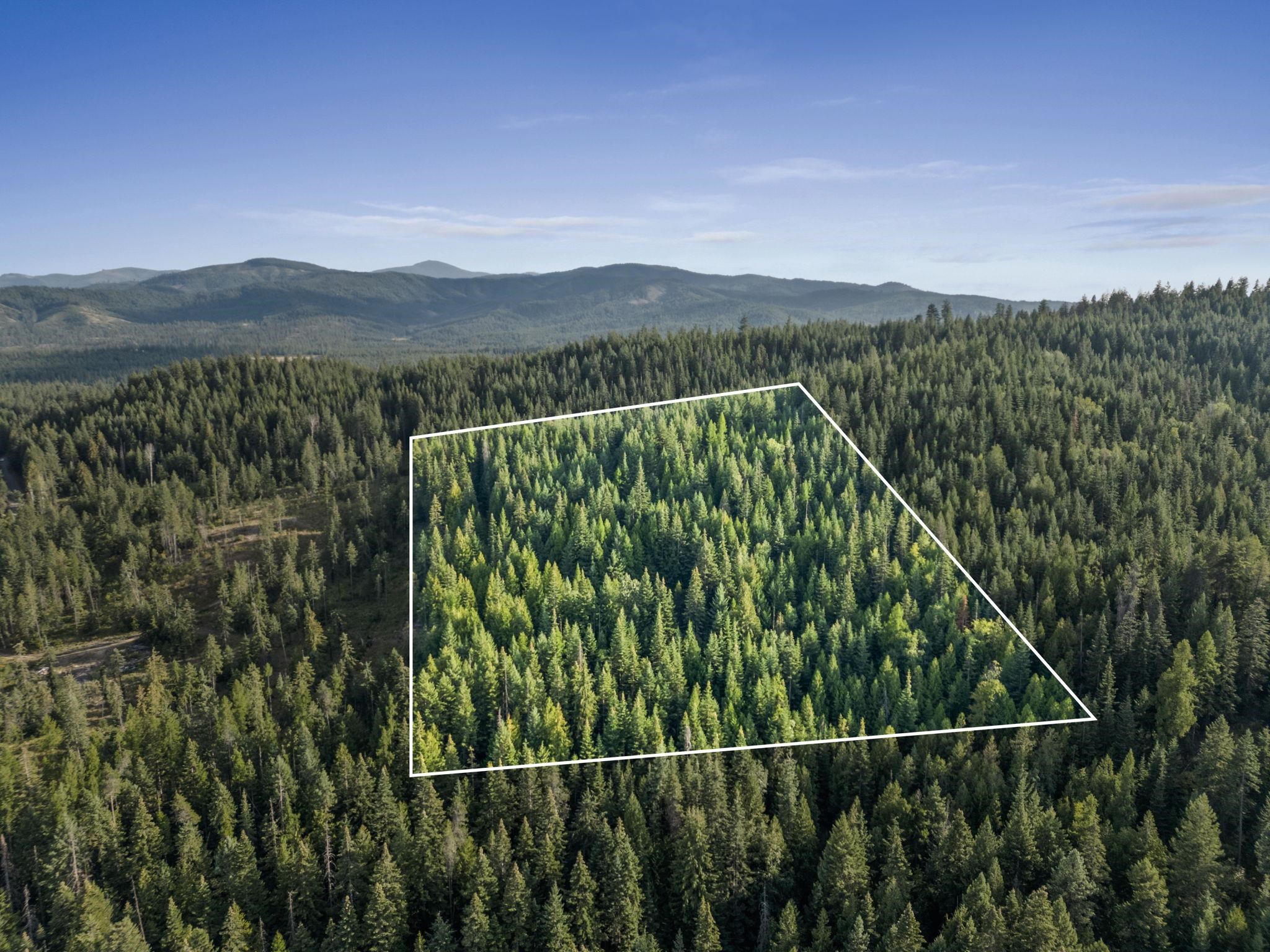 0 Bergen Road Newport, WA 99156 - Photo 3 of 48