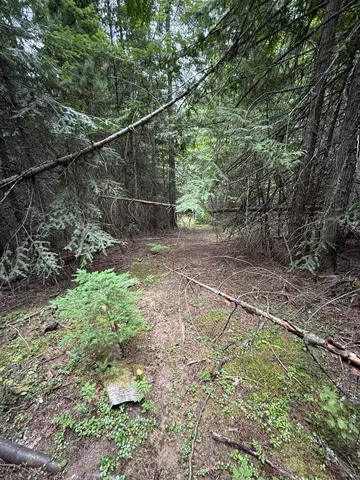 $125,000 | 0 Bergen Road, Newport, WA 99156