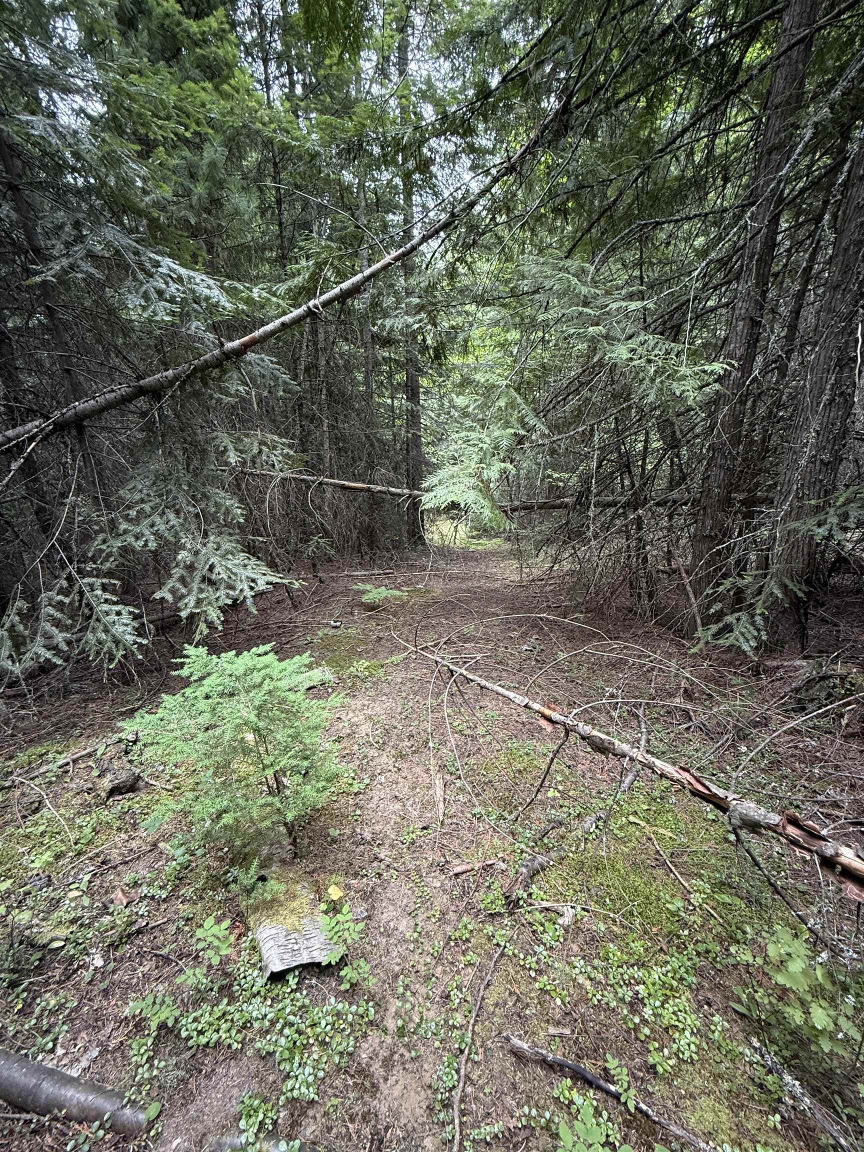 0 Bergen Road Newport, WA 99156 - Photo 32 of 48