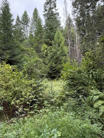 $125,000 | 0 Bergen Road, Newport, WA 99156