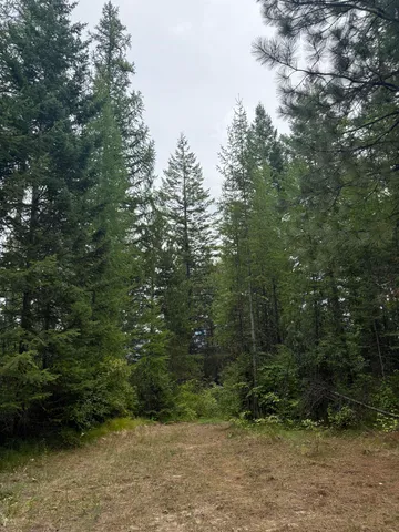 $125,000 | 0 Bergen Road, Newport, WA 99156