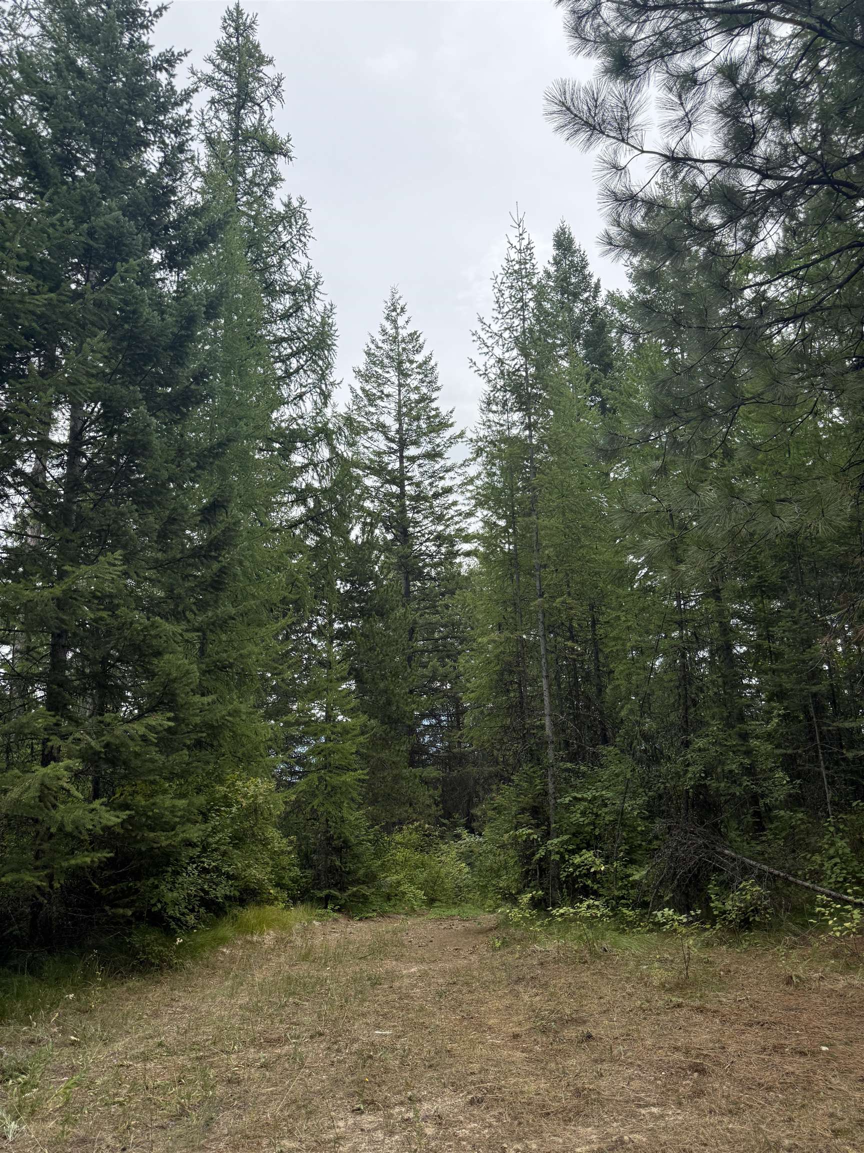 0 Bergen Road Newport, WA 99156 - Photo 35 of 48