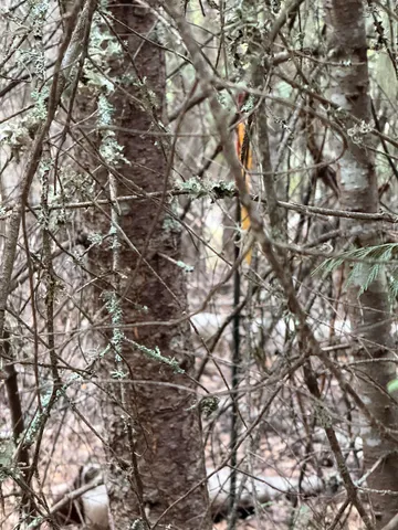 $125,000 | 0 Bergen Road, Newport, WA 99156