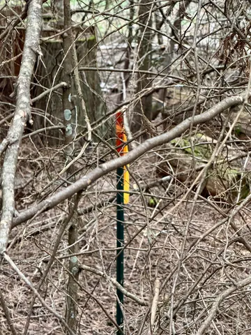 $125,000 | 0 Bergen Road, Newport, WA 99156