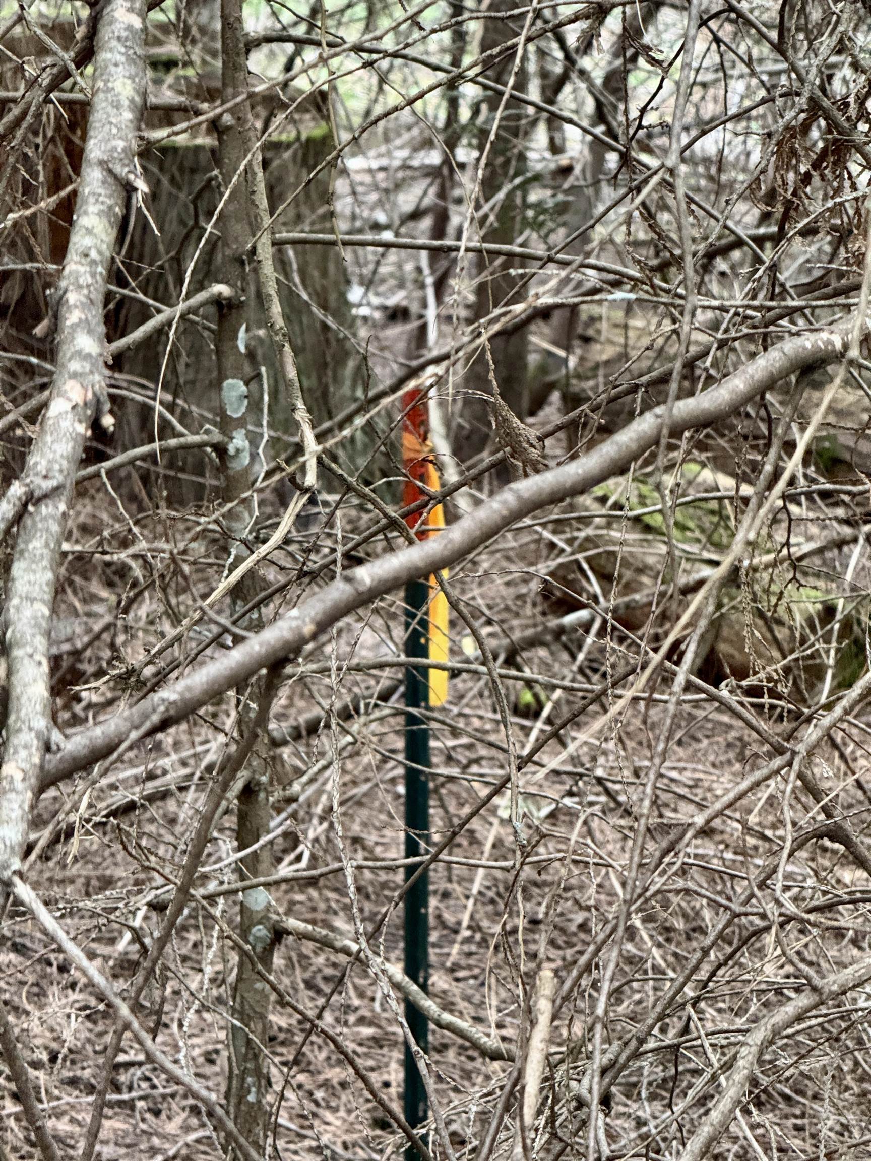 0 Bergen Road Newport, WA 99156 - Photo 38 of 48