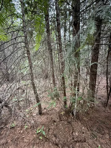 $125,000 | 0 Bergen Road, Newport, WA 99156