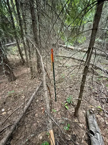 $125,000 | 0 Bergen Road, Newport, WA 99156