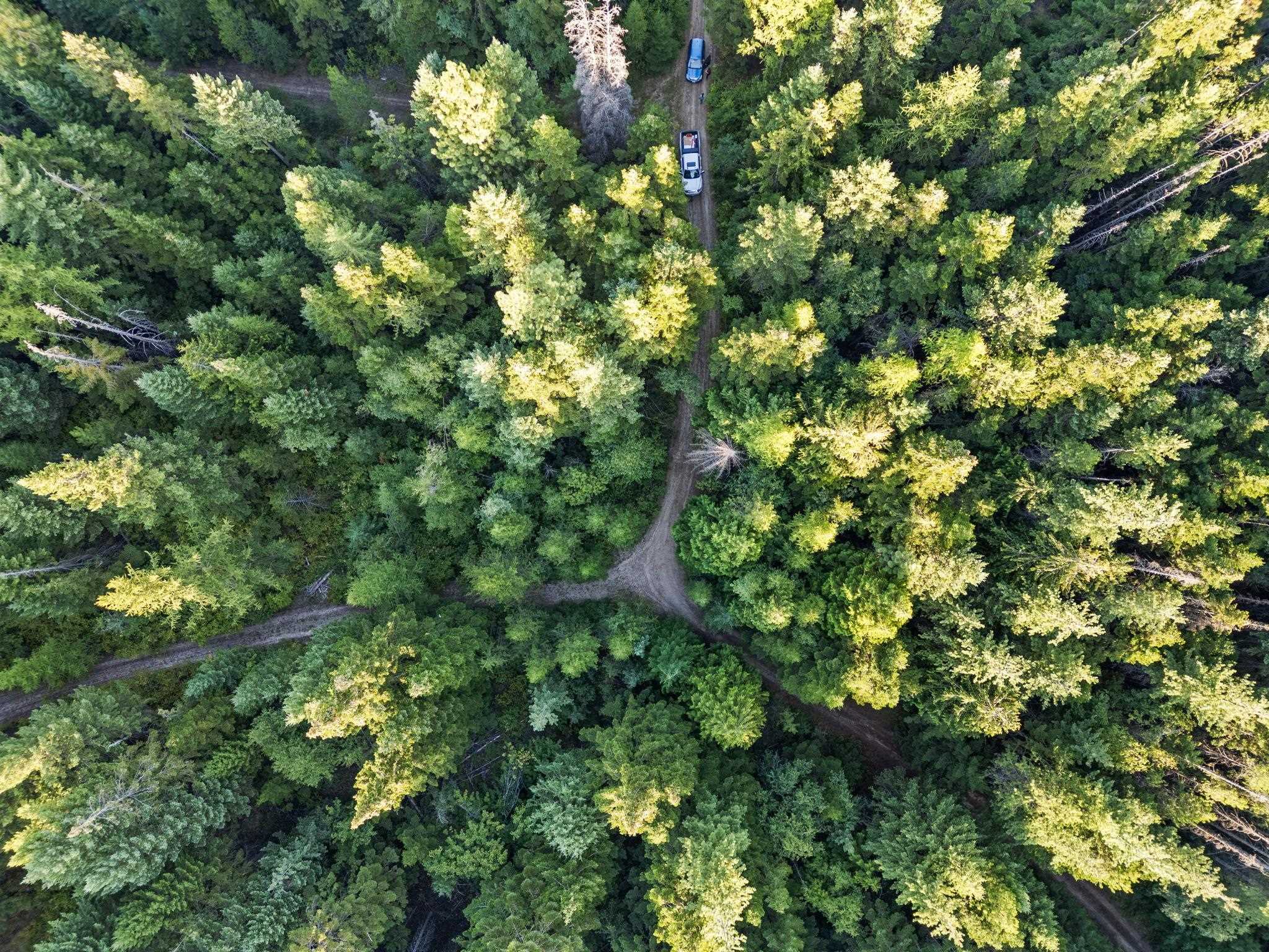 0 Bergen Road Newport, WA 99156 - Photo 4 of 48