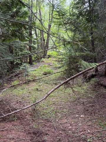 $125,000 | 0 Bergen Road, Newport, WA 99156