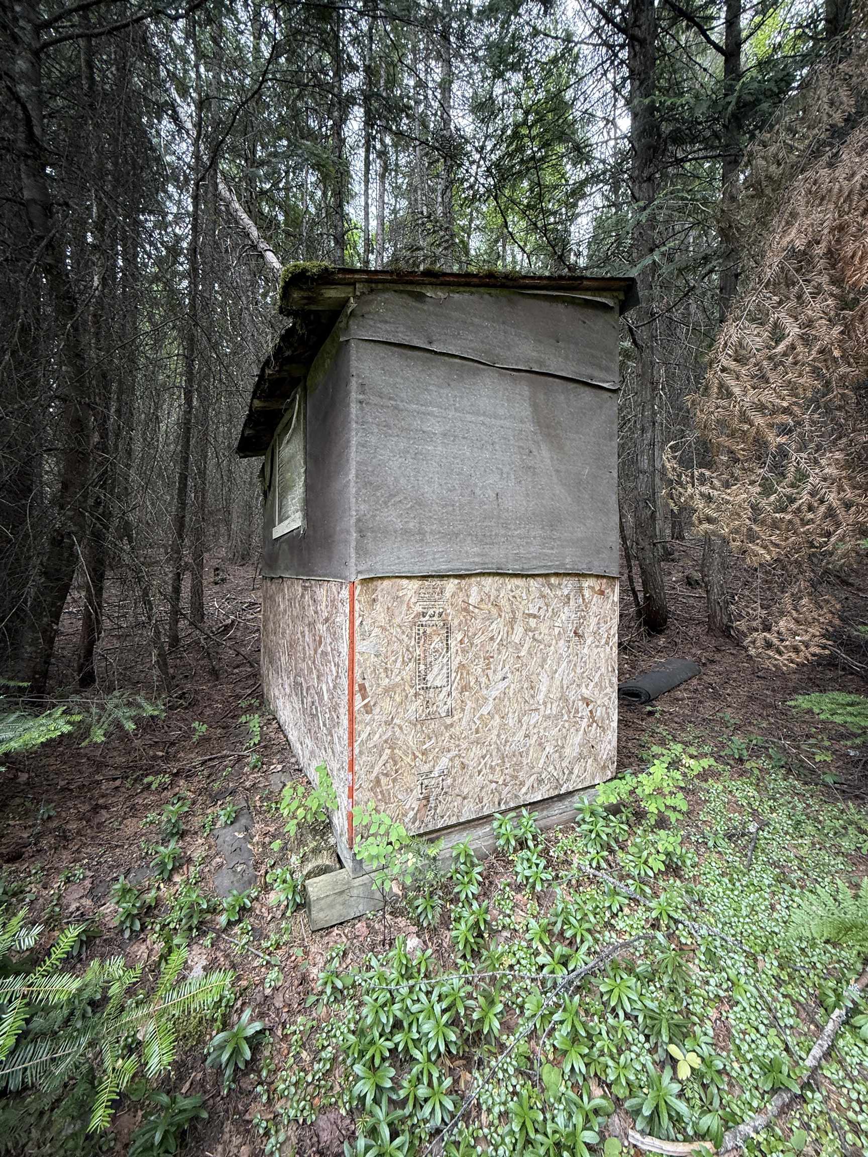 0 Bergen Road Newport, WA 99156 - Photo 43 of 48