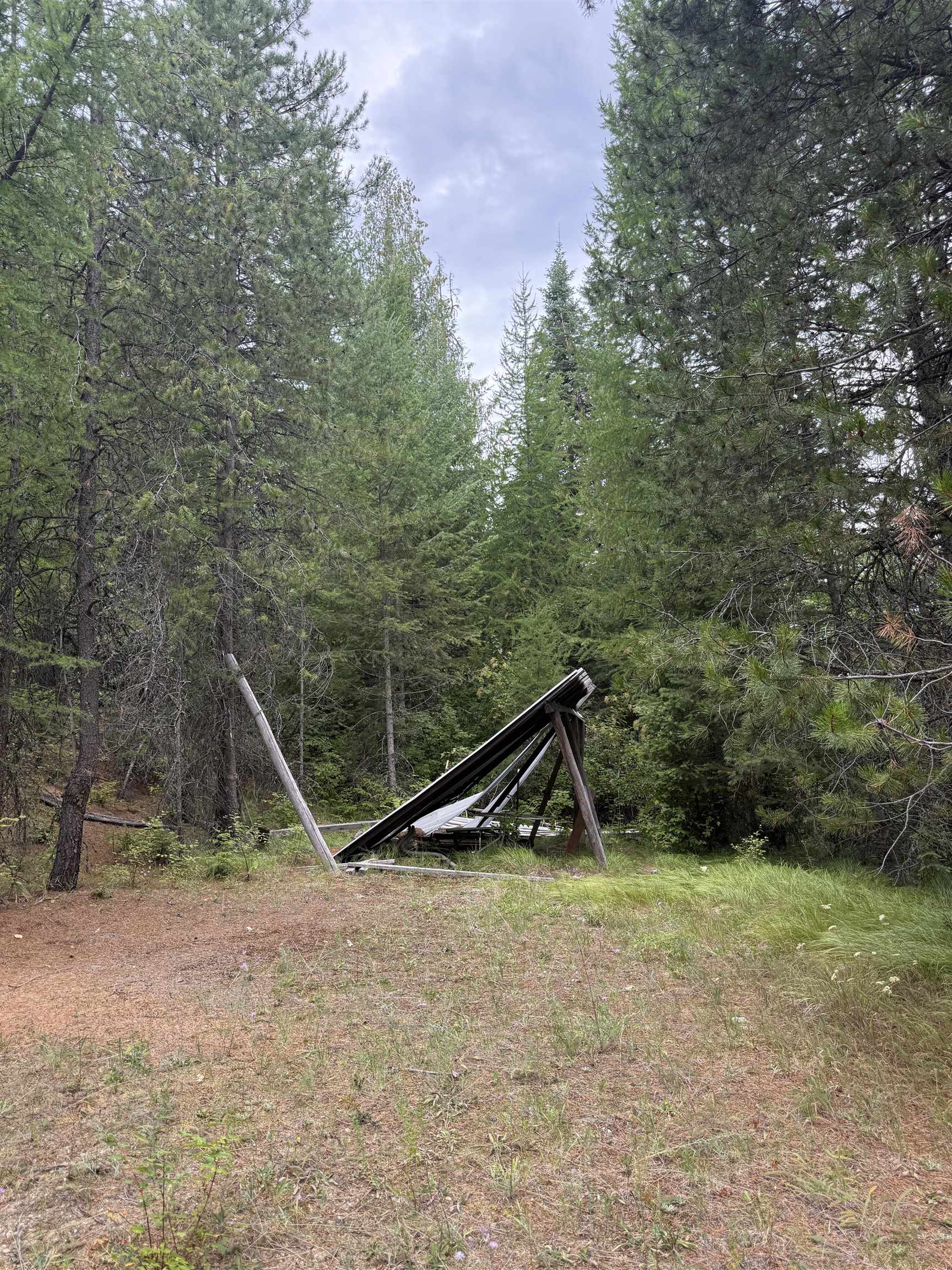 0 Bergen Road Newport, WA 99156 - Photo 45 of 48