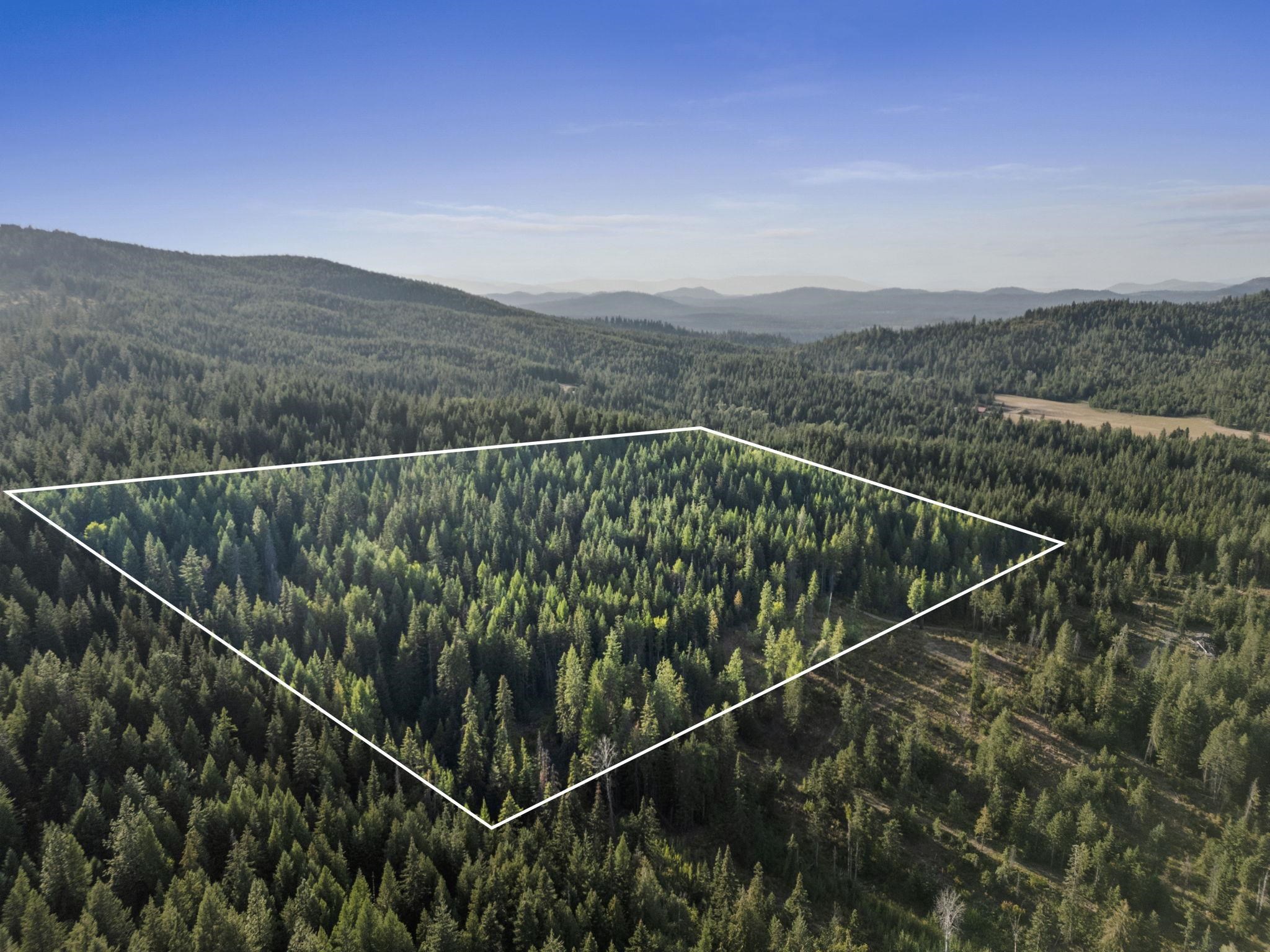 0 Bergen Road Newport, WA 99156 - Photo 47 of 48